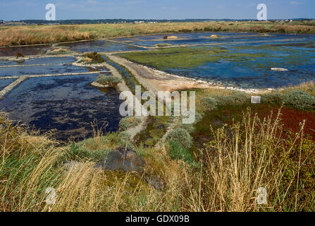 salt marshes at Gérande, France Stock Photo