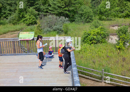 Visitors on the lookout tower at Rouge National Urban Park,Rogue Vally Park located in Metropolitan of Toronto,Ontario,Canada Stock Photo