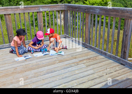 Children playing on Lookout tower, Rouge National Urban Park,Rogue Vally Park located in Metropolitan of Toronto, Ontario,Canada Stock Photo