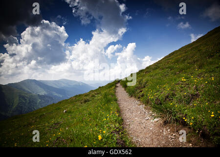 Fagaras Mountains, Romania in the summer Stock Photo