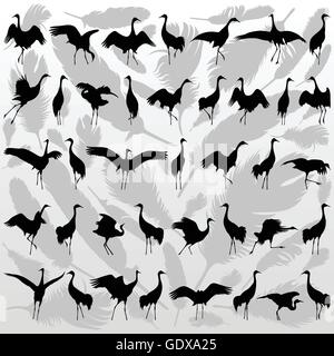 Crane bird and feathers detailed silhouette illustration collection background vector Stock Vector
