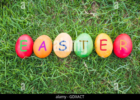 Row of Colorful Easter Eggs with Daisy on Fresh Green Grass Stock Photo