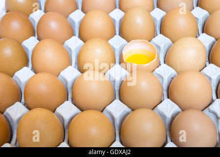 shell casing egg in package, yolk, albumen, egg group Stock Photo