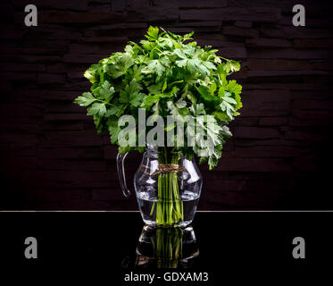 Bunch of fresh green parsley on black background Stock Photo