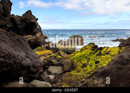 Moss stone and ocean on Madeira island, Portugal Stock Photo