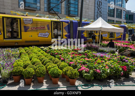 Metrolink tram and potted plants at a market stall next to the Exchange Square tram stop, Manchester, England, UK