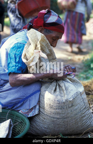 a coffee plantation neat the city of Antigua in Guatemala in central America. Stock Photo