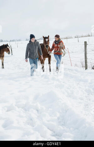 Young couple walking with horses in field, Bavaria, Germany Stock Photo