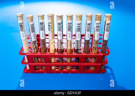 agricultural grains and legumes in the laboratory. Design of the label is specially created for this shot. Stock Photo