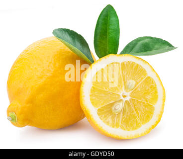 Ripe lemon fruits on the white background. Stock Photo