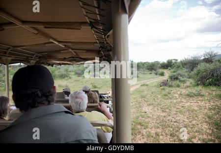 Game Drive in Okonjima in Namibia Stock Photo