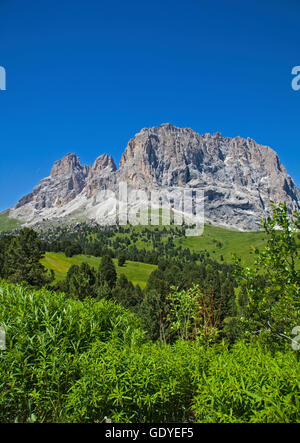 Sassolungo Massif from Sella Pass, Dolomites, Italy Stock Photo