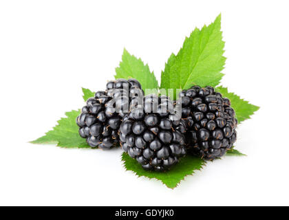Three blackberries on leaves. Isolated on white background Stock Photo