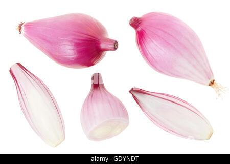 Red onions collection, Tropea type on white, clipping path Stock Photo