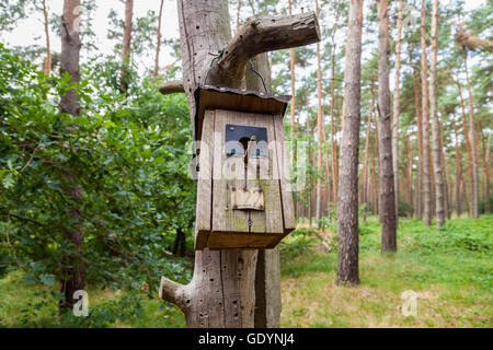 handmade birdtable in a wood Stock Photo