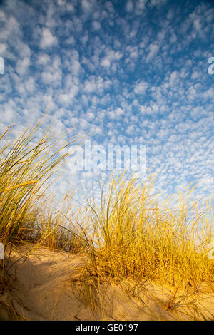 Grassy sand dune on the beach against cloudy sky, Viana do Castelo, Norte Region, Portugal Stock Photo