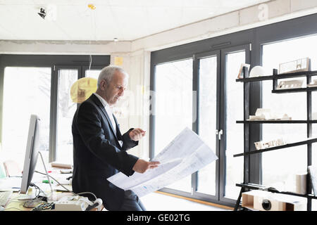 Senior businessman looking at blueprint in the office, Freiburg im Breisgau, Baden-Württemberg, Germany Stock Photo