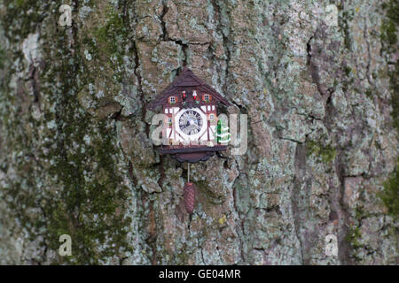 Antique wall clock hanging on tree trunk Stock Photo