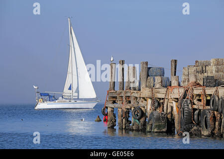 The quay at Hoedjies Bay, Saldanha Bay, West Coast of South Africa Stock Photo