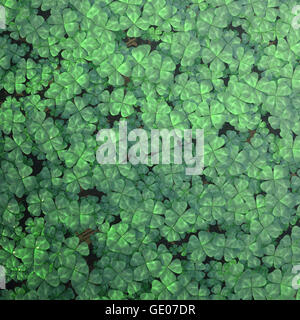 Four-leaf clover field for background, top view. 3d illustration high resolution Stock Photo