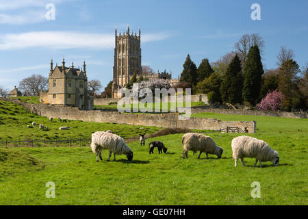 St James' Church and grazing sheep, Chipping Campden, Cotswolds, Gloucestershire, England, United Kingdom, Europe Stock Photo