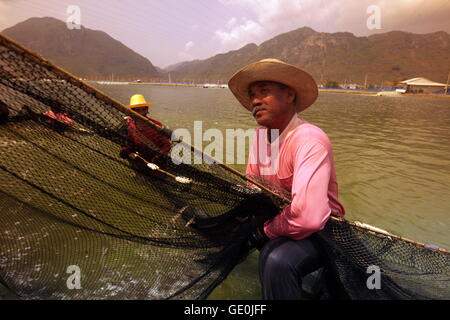 a shrimp farm in the Khao Sam Roi Yot Nationalpark on the Golf of Thailand near the Town of Hua Hin in Thailand. Stock Photo