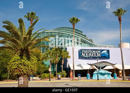 geography / travel, USA, Florida, Tampa, The Florida Aquarium, Additional-Rights-Clearance-Info-Not-Available Stock Photo