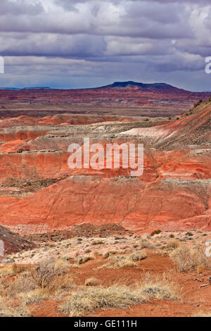 geography / travel, USA, Arizona, Chambers, Seen from close to Tawa Point, Petrified Forest National Park, Arizona, No-Exclusive-Use Stock Photo