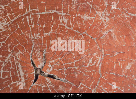 close up of cross-section wood texture background. Stock Photo