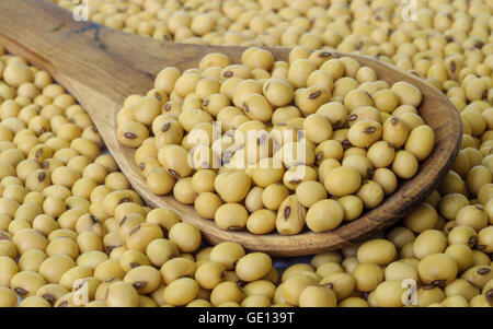 Soybean on wooden spoon isolated on a white background. Stock Photo