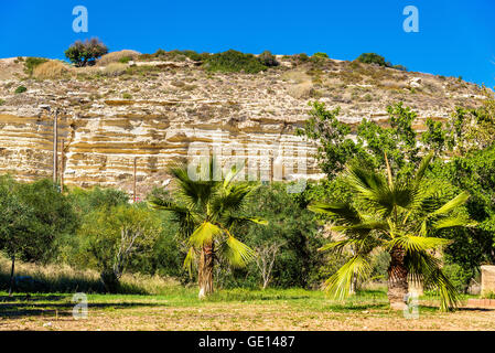 Trees at the foot of the Kourion Mount - Cyprus Stock Photo