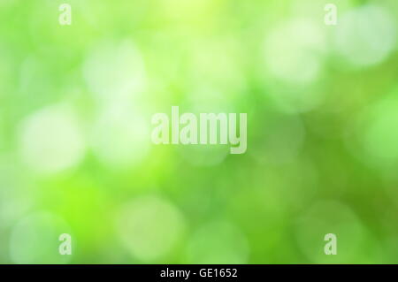 green bokeh abstract background Stock Photo