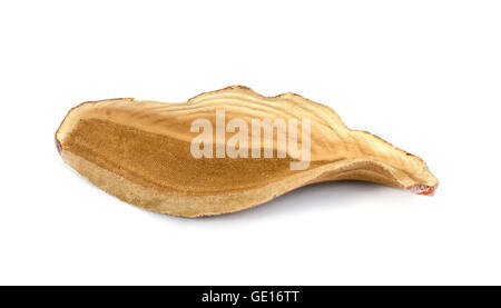 Piece of dry Ling Zhi Mushroom on white background. Stock Photo