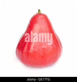 Rose apples  isolated on white background . Stock Photo