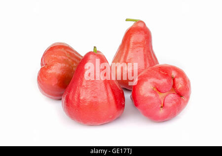 Rose apples  isolated on white background . Stock Photo