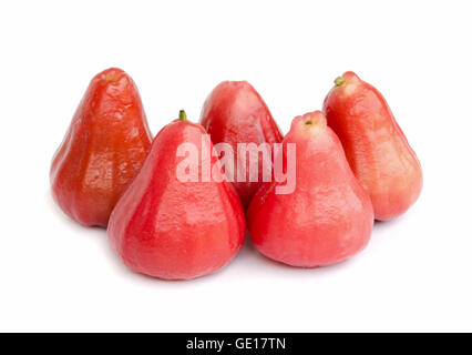 Rose apples  isolated on white background . Stock Photo