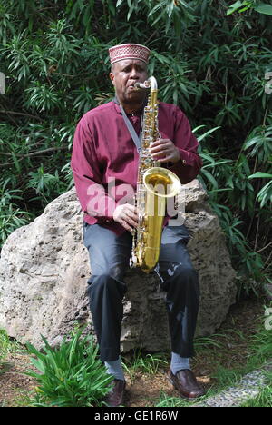 Jazz musician playing his saxophone. Stock Photo