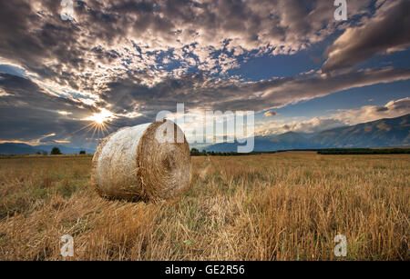 Hay Bale Sunset Stock Photo - Download Image Now - Bale, Hay, Farm