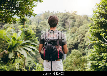 Rear view of man looking at waterfall. Male hiker standing in forest and viewing waterfall. Stock Photo