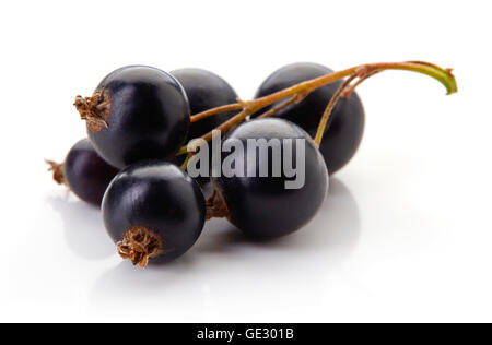 Ripe blackcurrant isolated on white background, close up Stock Photo