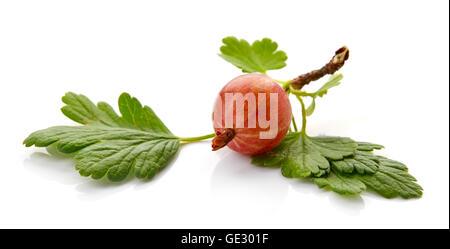 Ripe red gooseberry with leaves isolated on white background Stock Photo