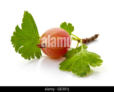 Ripe red gooseberry with leaves isolated on white background Stock Photo