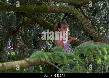young girl, wants to climb tree, Sonoma State University, city, Rohnert Park, Sonoma County, California Stock Photo