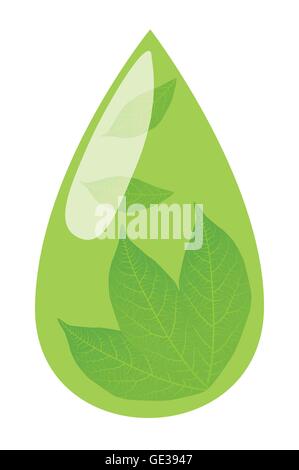 Realistic green tea leaves with drops isolated on white background ...