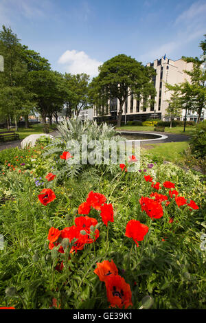 Ireland, Dublin, Parkgate Street, poppies growing is Croppies Memorial Park opposite Ashling Hotel Stock Photo