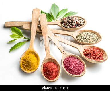Assortment of colorful spices in the wooden spoons on the white background. Stock Photo