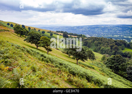 Denbighshire, North Wales, UK 22nd July 2016. UK Weather – Warm weather remains over parts of the UK with temperatures in the early 20’s Celsius over Denbighshire and the Clwydian Hills or Clwydian Range as it sometimes referred as. Humid conditions with intermittent downpours with clouds rolling in over the Vale of Clwyd Stock Photo