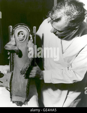 (December 4, 1959) Sam, the Rhesus monkey, after his ride in the Little Joe-2 (LJ-2) spacecraft. A U.S. Navy destroyer safely recovered Sam after he experienced three minutes of weightlessness during the flight. Animals were often used during test flights for Project Mercury to help determine the effects of spaceflight and weightlessness on humans. LJ-2 was one in a series of flights that led up to the human orbital flights of NASA's Project Mercury program. The Little Joe rocket booster was developed as a cheaper, smaller, and more functional alternative to the Redstone rockets. Little Joe co Stock Photo