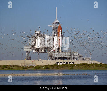 A flock of birds take flight shortly after the Space Shuttle Atlantis arrives at Pad 39B after being rolled out from the Vehicle Assembly Building approximately six hours before. Atlantis is scheduled to be launched in late November 1988 on Space Shuttle mission STS-27, a Department of Defense dedicated mission. This will be Atlantis' third mission in space.   Image # : 88PC-1267 Stock Photo