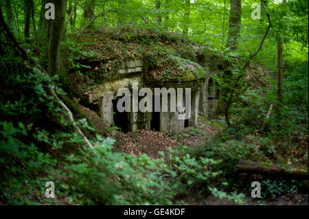 Argonne Forest, WWI battlefield France. July 2016 Abri Kron Prinz, German crown prince Wilhelm von Preußen, son of the Wilhelm II. Three bunkers on the front line in the Argonne Forest. The Meuse-Argonne Offensive, also known as the Maas-Argonne Offensive and the Battle of the Argonne Forest, was a major part of the final Allied offensive of World War I that stretched along the entire Western Front. It was fought from September 26, 1918, until the Armistice of 11 November 1918, a total of 47 days. The Meuse-Argonne Offensive was the largest in United States military history, involving 1.2 mill Stock Photo